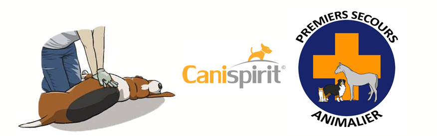 canispirit-secours-canin-urgence