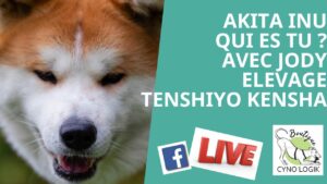 Parlons de l'Akita en Live