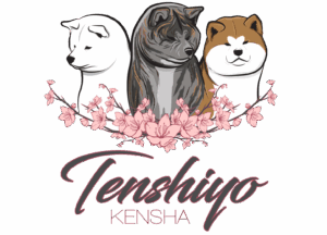 Chiots disponibles