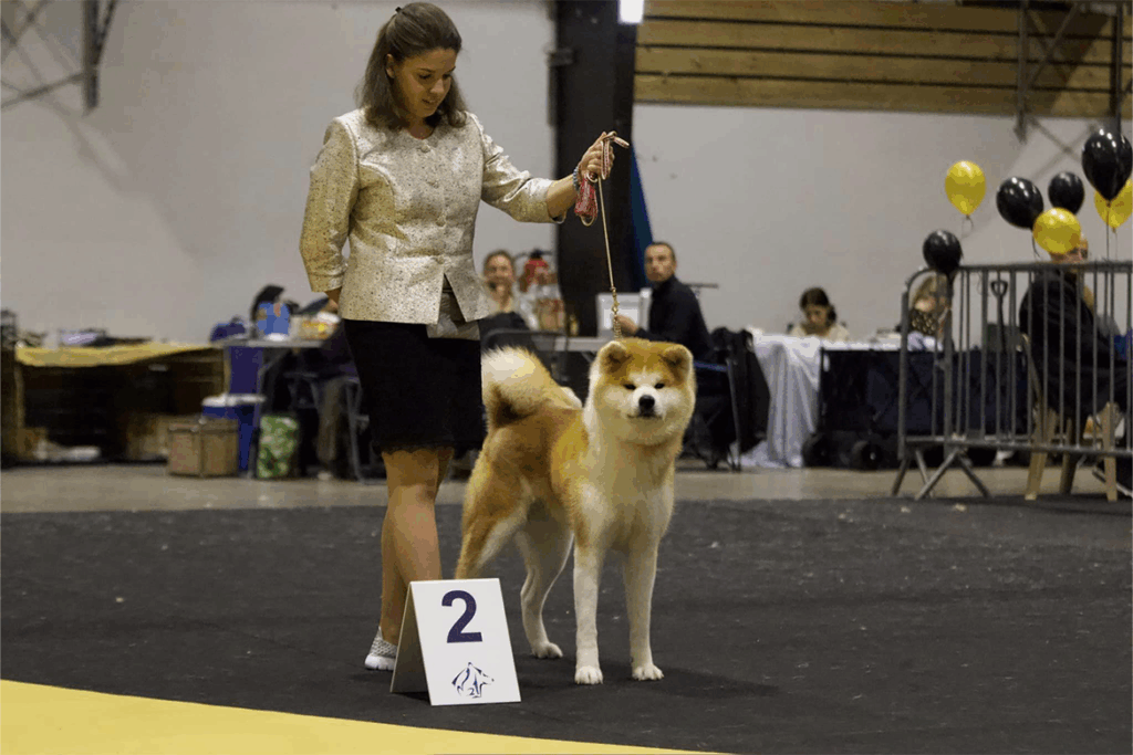 tsuki-championnat-JWDS